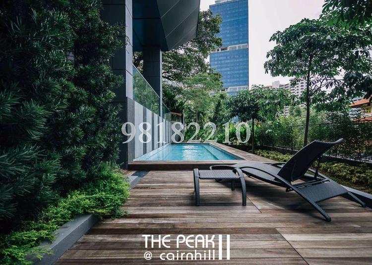 The Peak @ Cairnhill II (D9), Apartment #140830022